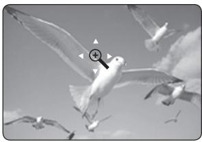 SAMSUNG DVD-HR773A - ZOOMING-IN - 8