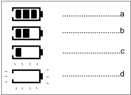 SAMSUNG DVD-L100 - Indicateur du niveau des piles - 1
