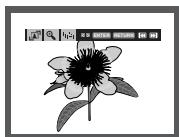 SAMSUNG DVD-P191 - Lecture de CD image - 1