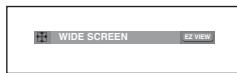 SAMSUNG DVD-P191 - To play back using aspect ratio (DVD) - 1