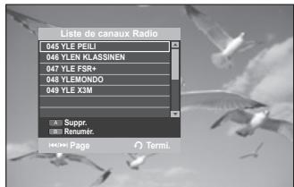SAMSUNG DVD-SH895 - Liste des caux (numérique) - 3