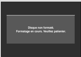 Disque non formaté. Formatage en cours. Veuillez patienter.