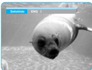 SAMSUNG BD-P1000 - Uso del tasting SUBTITLE - 1