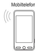 SAMSUNG BD C8900 XEG - Verbinden mit dem Home Network Centre - 2