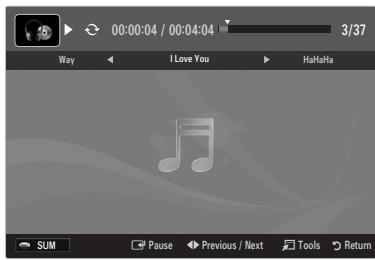 SAMSUNG BD C8900 XEG - Playing the selected music files - 1