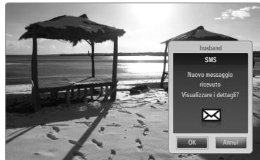 SAMSUNG BD C8900 XEG - Uso della funzione Message - 1