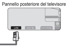 SAMSUNG BD C8900 XEG - Connessione LAN via cavo per un ambiente DHCP - 3