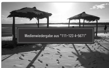 SAMSUNG BD C8900 XEG - Verwendend der Medienfunktion - 1