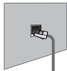 SAMSUNG BD C8900 XEG - You can connect the LAN via a Sharer (Router). - 1