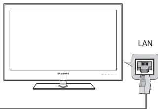 SAMSUNG BD C8900 XEG - Collegamento a Centro rete dom - 5