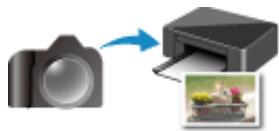 CANON MG2950 - Impression - 2