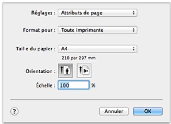 CANON MG2950 - Boîte de dialogue Configuration de la page - 1