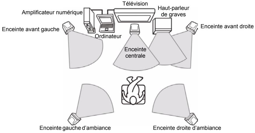 Amplificateur numérique Télévision Haut-parleur de graves Enceinte avant gauche Ordinateur Enceinte centrale Enceinte avant droite Enceinte gauche d'ambiance Enceinte droite d'ambiance