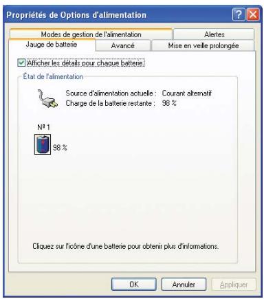 SAMSUNG NV25NP12DX - Pour utiliser la jauge d'alimentation - 1