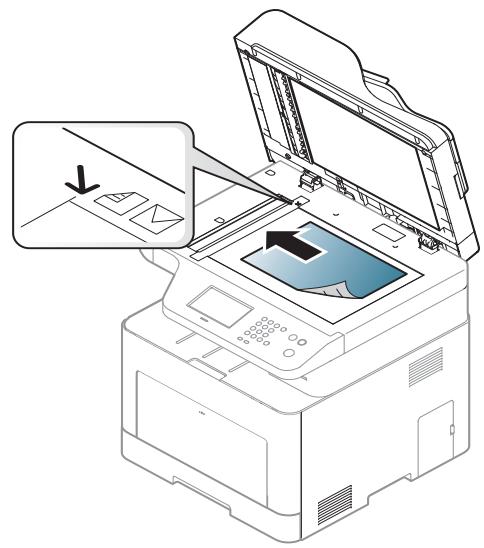 SAMSUNG CLX-4195N - Druckmedien und Fächer - 2