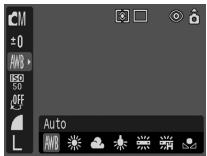 CANON DIGITAL IXUS 40 - Définition d'une balance des blancs personnalisée - 1