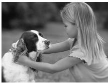 CANON IXUS 95 IS - Prises de vue nocturnes (mode nuit) - 1