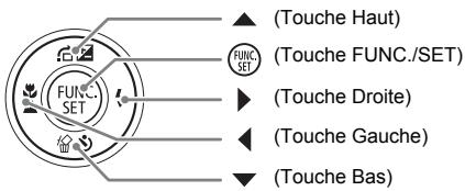 CANON IXUS 95 IS - Conventions utilisées dans ce guide - 1