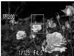 CANON IXUS 95 IS - Effectuez la mise au point. - 1