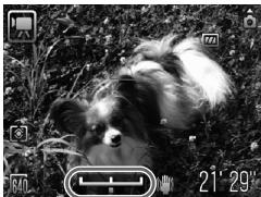 CANON IXUS 95 IS - Mémorisation de l'exposition / Réglage de l'exposition - 1