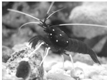 CANON IXUS 95 IS - Prises de vue de personnes à la plage (Plage) - 2