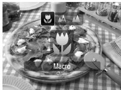 CANON IXUS 95 IS - Prises de vue en gros plan (macro) - 1