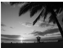 CANON IXUS 95 IS - Prises de vue en intérieur - 1