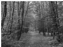 CANON IXUS 95 IS - Prises de vue de personnes à la plage (Plage) - 3