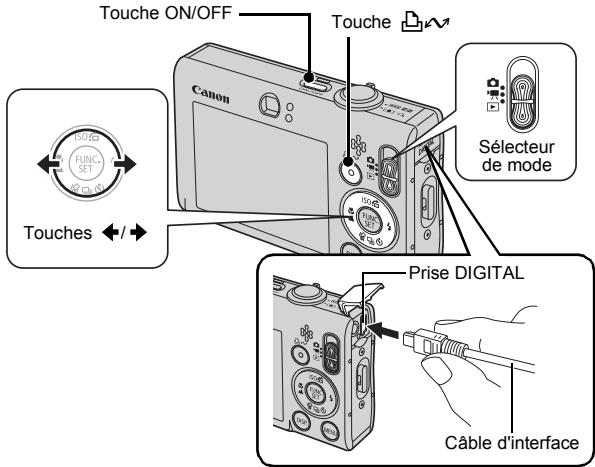 CANON DIGITAL IXUS 80 IS - Impression - 1