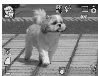 CANON DIGITAL IXUS 80 IS - Mode Scène - 1