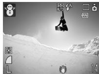 CANON DIGITAL IXUS 80 IS - Feuillages - 1