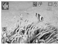 CANON DIGITAL IXUS 80 IS - Aquarium - 1