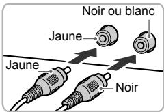 Noir ou blanc Jaune Jaune Noir