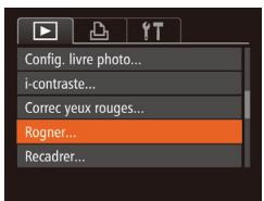 CANON POWERSHOT SX60 HS - Rognage - 3