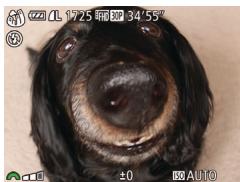 CANON POWERSHOT SX60 HS - Choisissez [c] - 1
