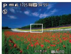 CANON POWERSHOT SX60 HS - Prise de vue dans le Programme AE (Mode [P]) - 3