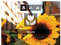 Macro