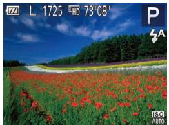 CANON IXUS 175 - Prise de vue dans le Programme AE (Mode [P]) - 1