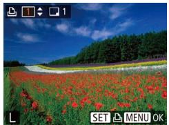CANON IXUS 175 - Configuration de l'impression pour chaque image - 2