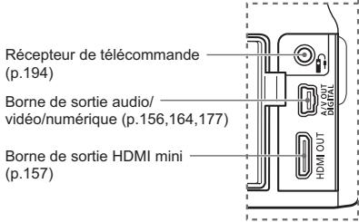 CANON EOS REBEL T1I - Nomenclature - 3