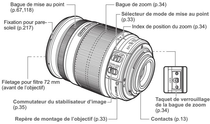 CANON EOS REBEL T1I - Zone dédiée à l'image - 2