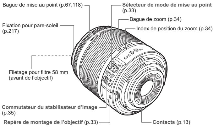 CANON EOS REBEL T1I - Zone dédiée à l'image - 1