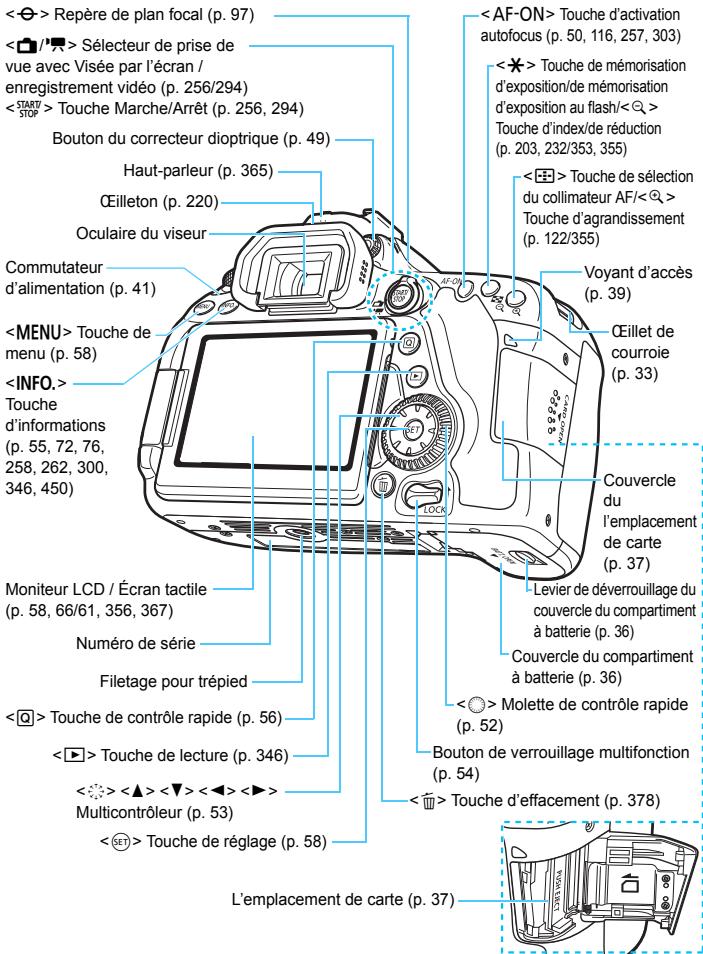 CANON EOS 80D - Nomenclature - 3