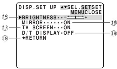 CANON ELURA 2 - Display set up submenu - 1
