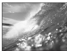 CANON ELURA 2 - Sample images - 14