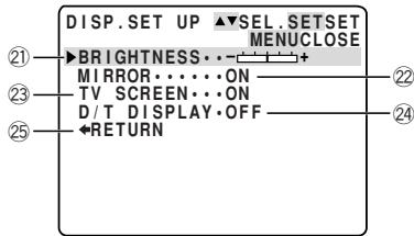 CANON ELURA 2 - Display set up submenu - 1