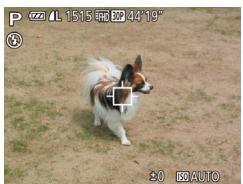 CANON POWERSHOT SX 720 HS - Choisissez [suivi AF] - 1