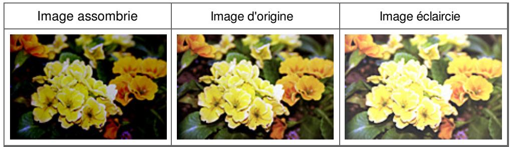 CANON PIXMA MG5150 - Luminosité - 2