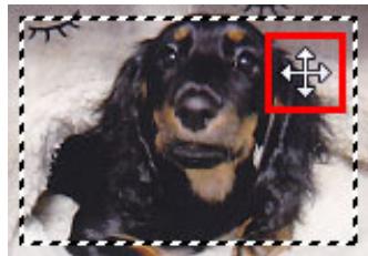 CANON PIXMA MG5150 - Ajustement d'un cadre de découpe - 2