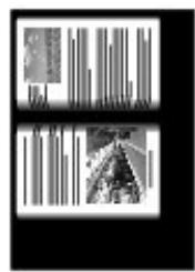 CANON PIXMA MG5150 - Copie d'originaux écais tels que des livres (copie av. eff. cadre) - 1